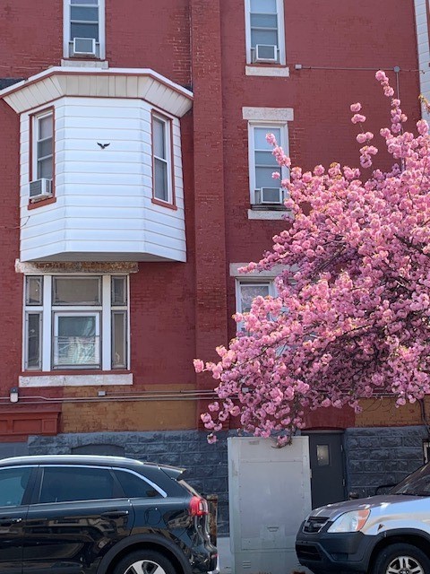 new viate street view which offers hope and renewal